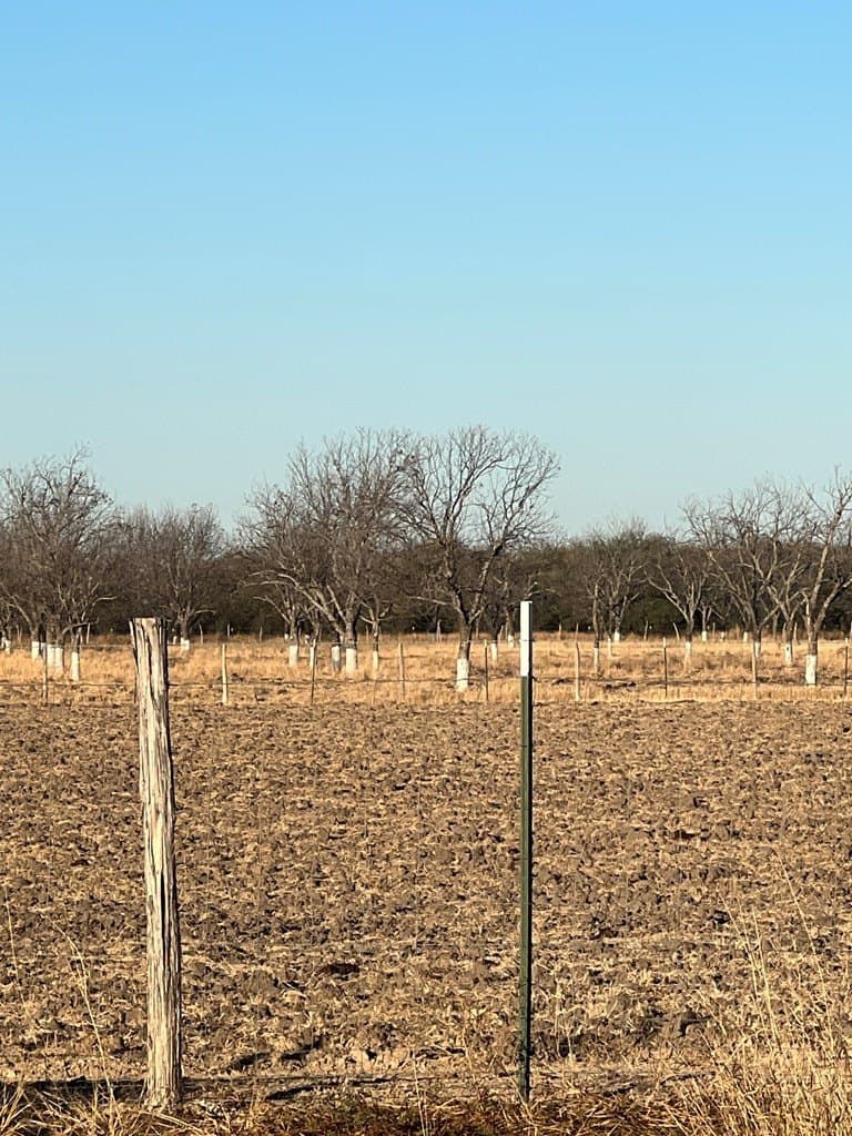 10 acres in Maverick County - photo 5