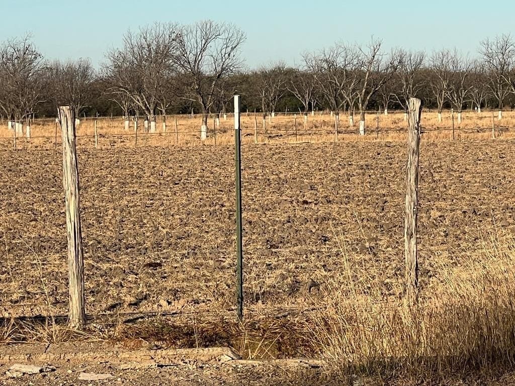 10 acres in Maverick County - photo 2