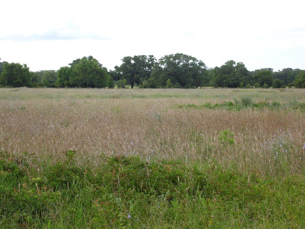 2.31 acres in Texas County - photo 2