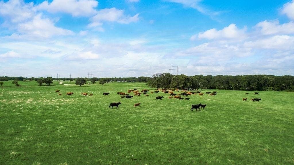 72 acres in Kaufman County - photo 4