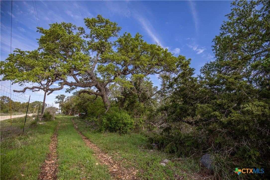46.91 acres in Hays County - photo 32