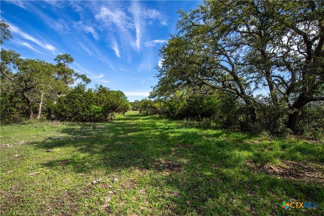 46.91 acres in Hays County - photo 23