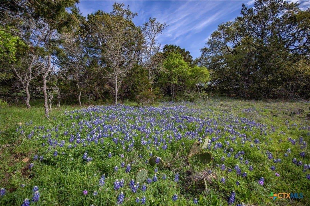 46.91 acres in Hays County - photo 8