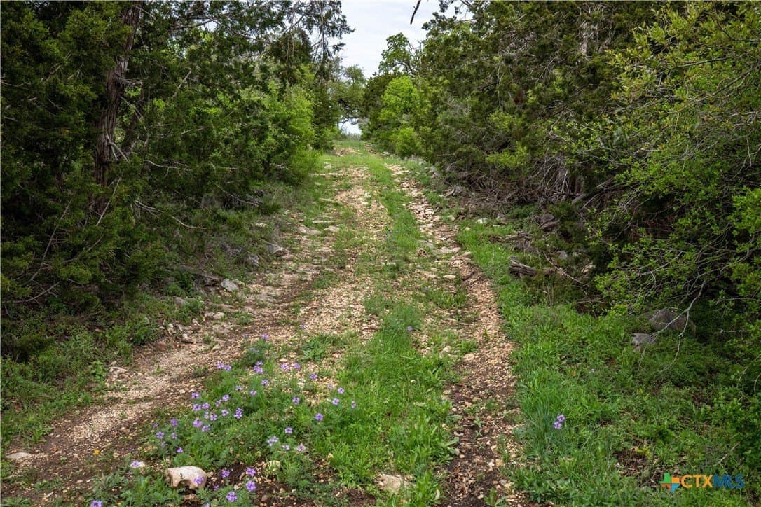 46.91 acres in Hays County - photo 20