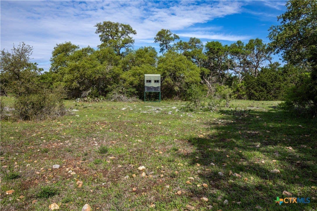 46.91 acres in Hays County - photo 13