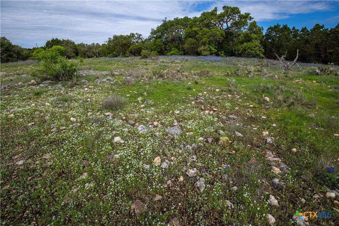 46.91 acres in Hays County - photo 31