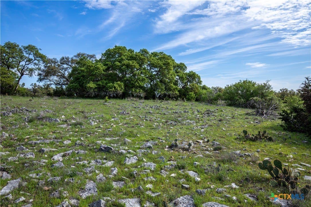 46.91 acres in Hays County - photo 30