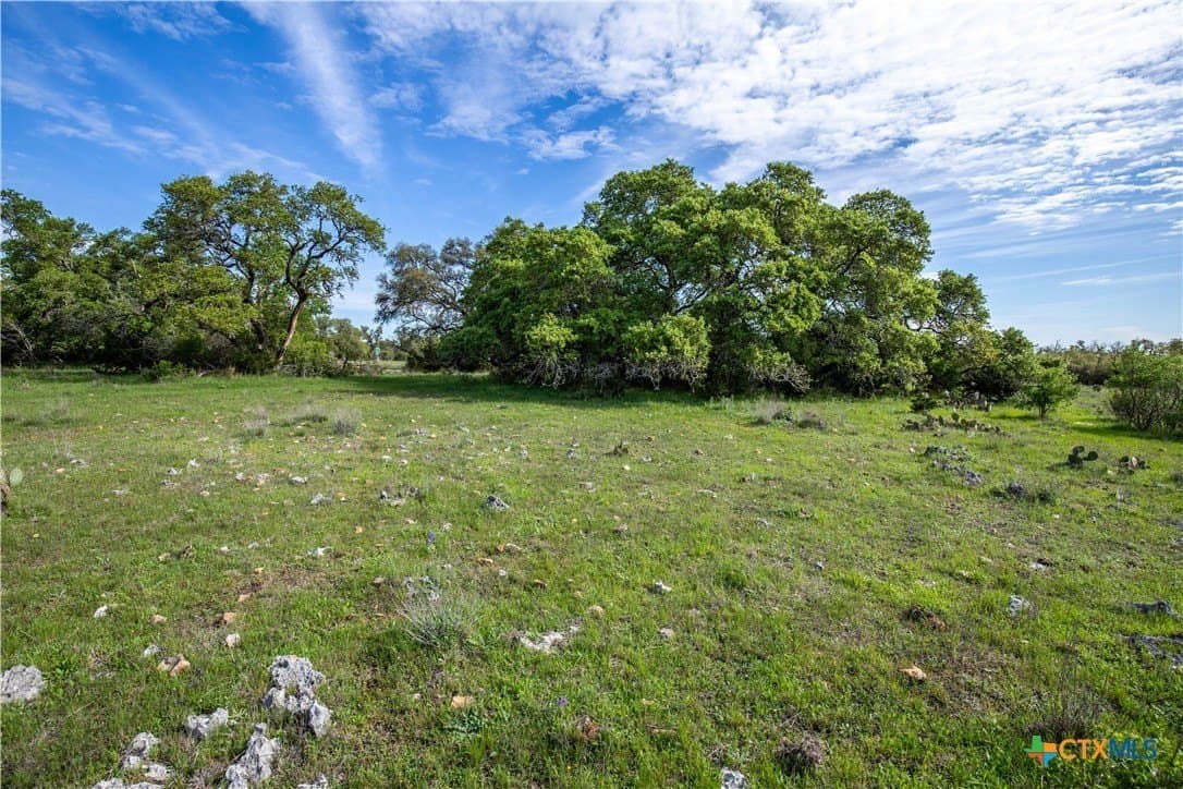 46.91 acres in Hays County - photo 11
