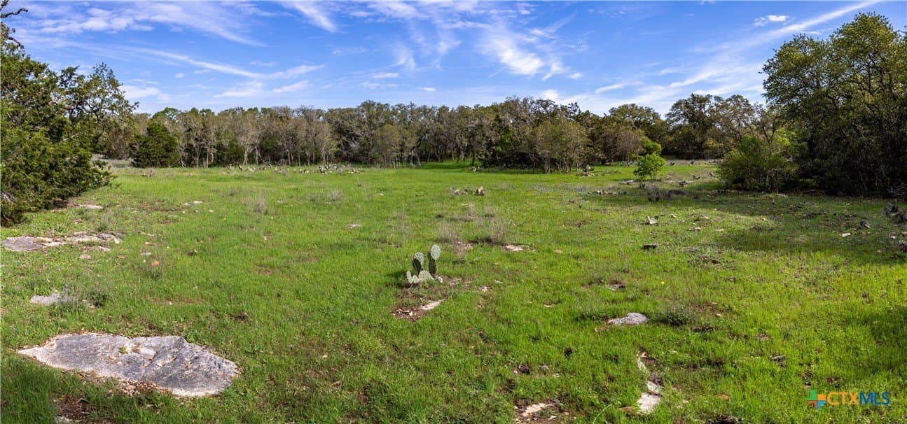 46.91 acres in Hays County - photo 24