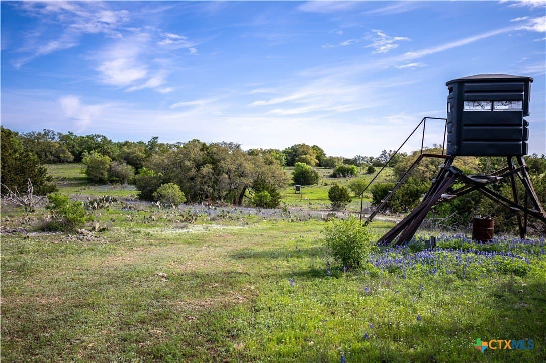 46.91 acres in Hays County - photo 12