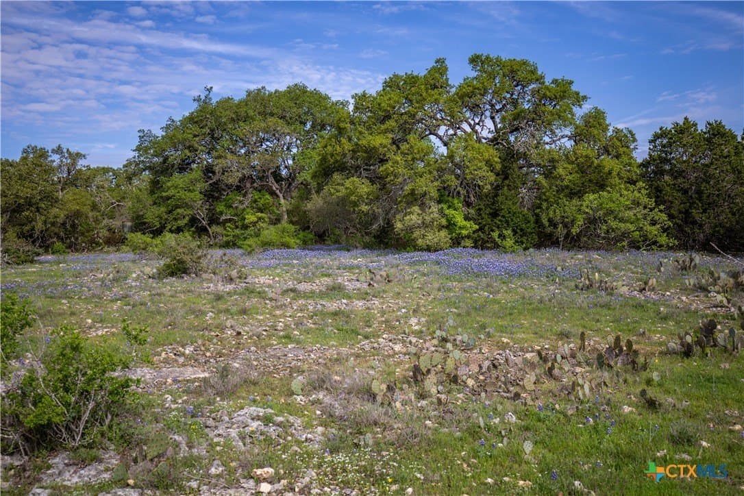 46.91 acres in Hays County - photo 9