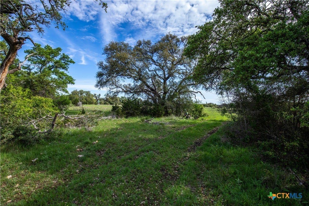 46.91 acres in Hays County - photo 16