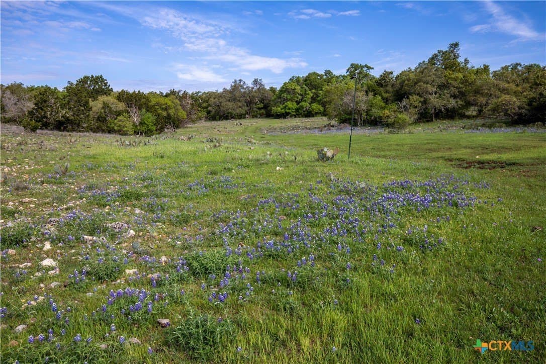 46.91 acres in Hays County - photo 33