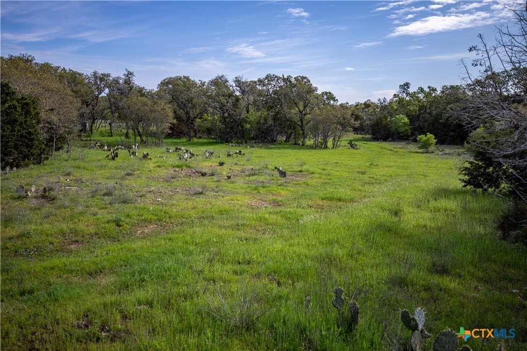 46.91 acres in Hays County - photo 6