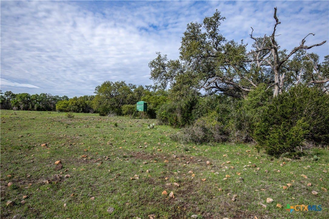 46.91 acres in Hays County - photo 26
