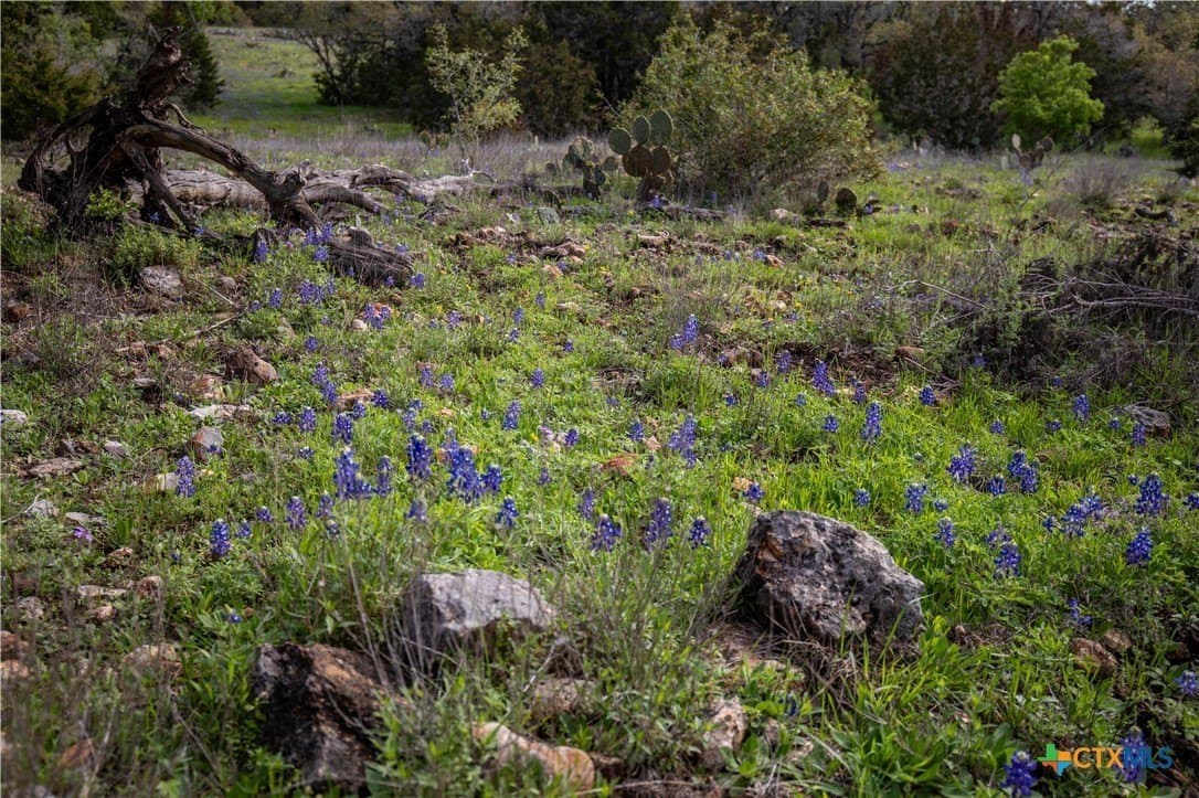 46.91 acres in Hays County - photo 28