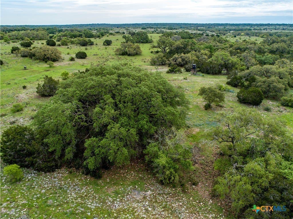 46.91 acres in Hays County - photo 5