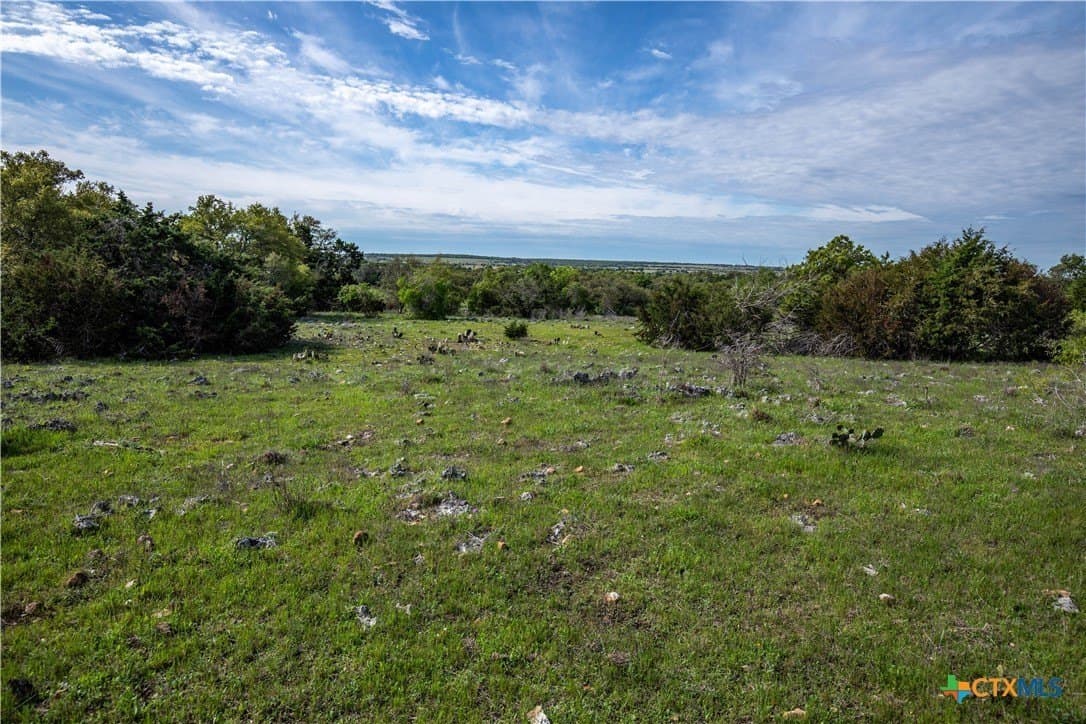 46.91 acres in Hays County - photo 34