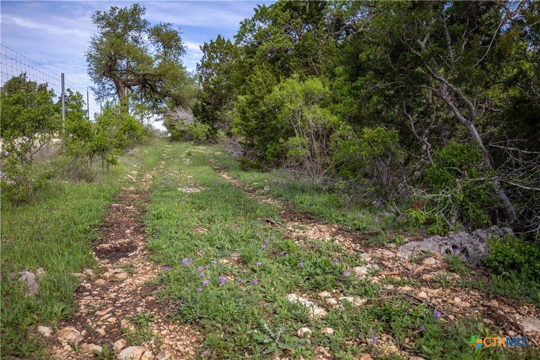 46.91 acres in Hays County - photo 27