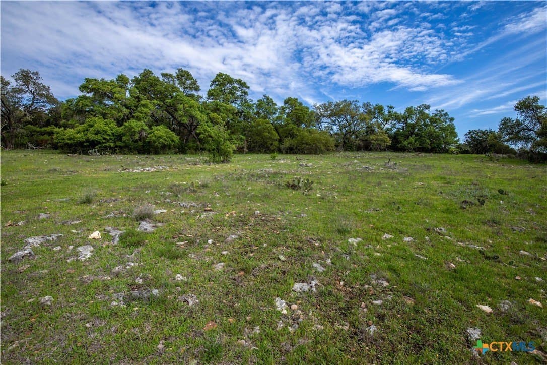 46.91 acres in Hays County - photo 41