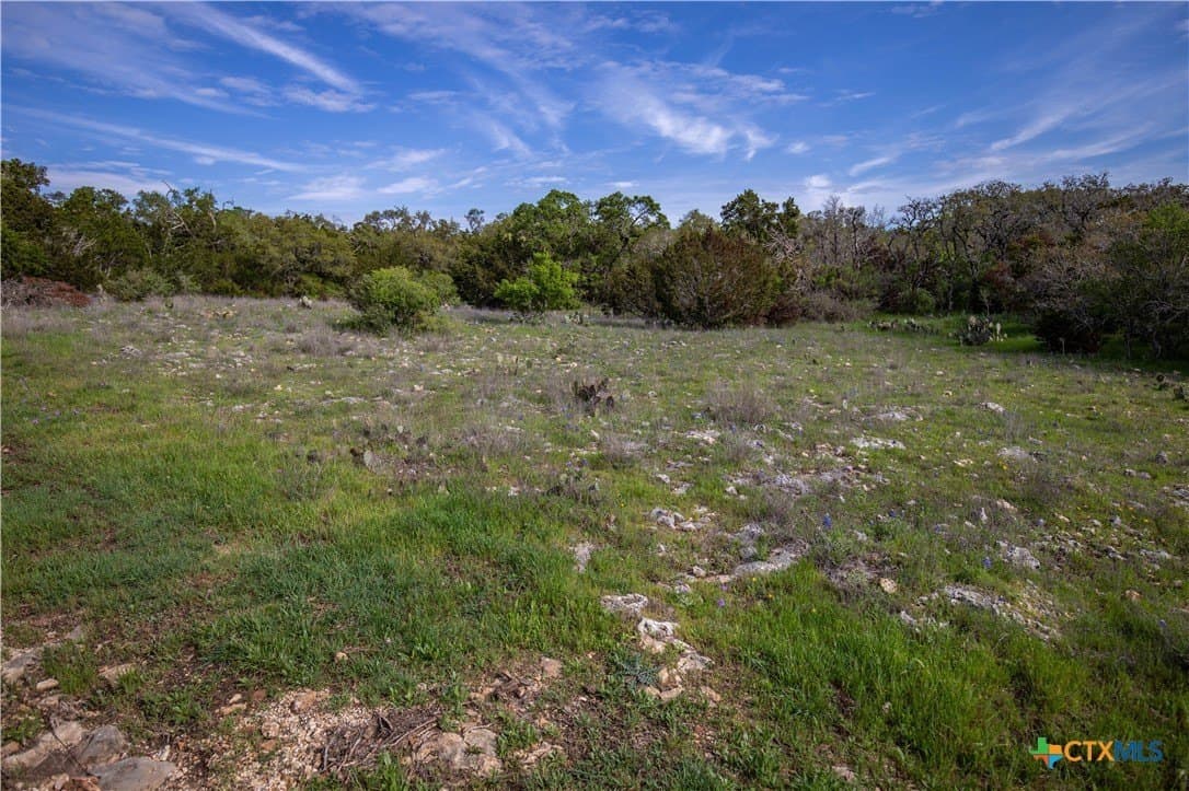 46.91 acres in Hays County - photo 15
