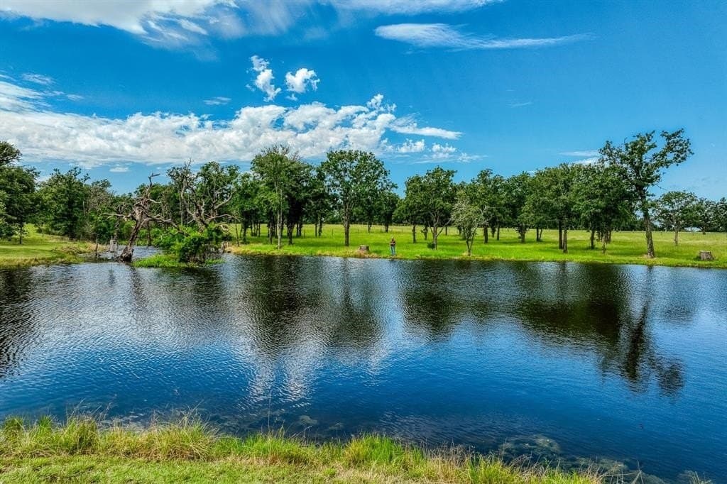 133.88 acres in Burleson County - photo 2