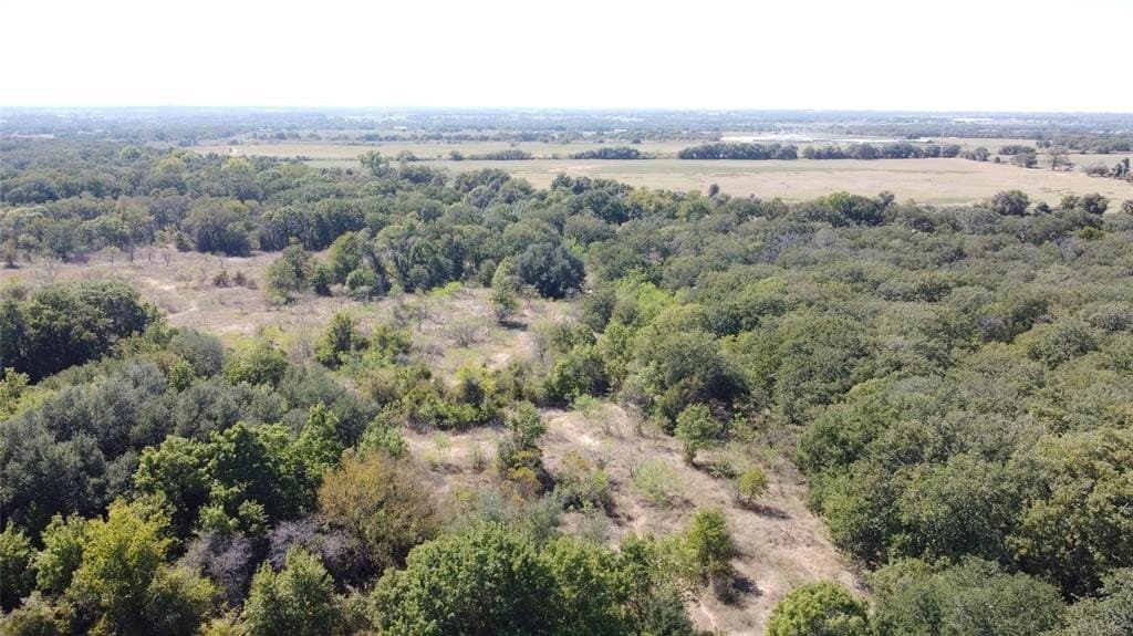 162.78 acres in Erath County - photo 9