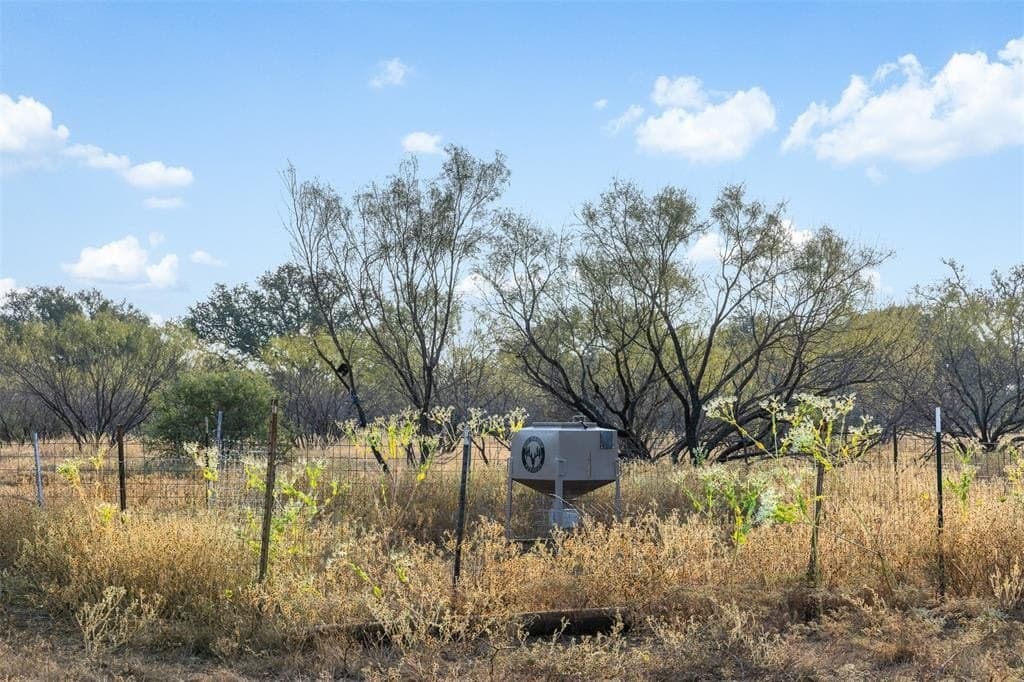 24.1 acres in McCulloch County - photo 12