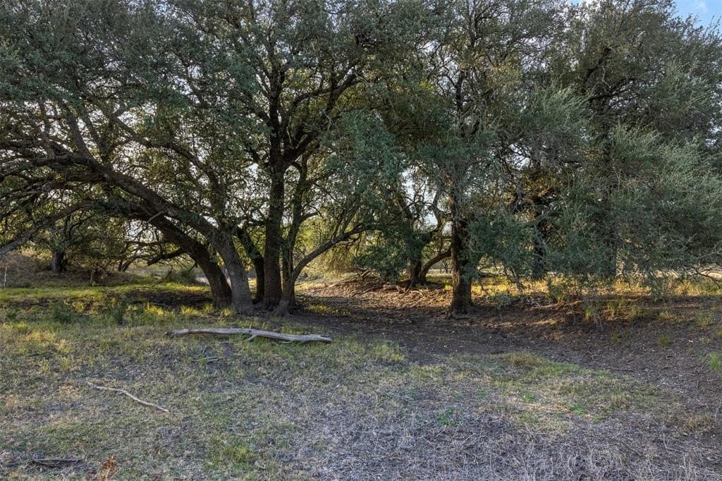 24.1 acres in McCulloch County - photo 11