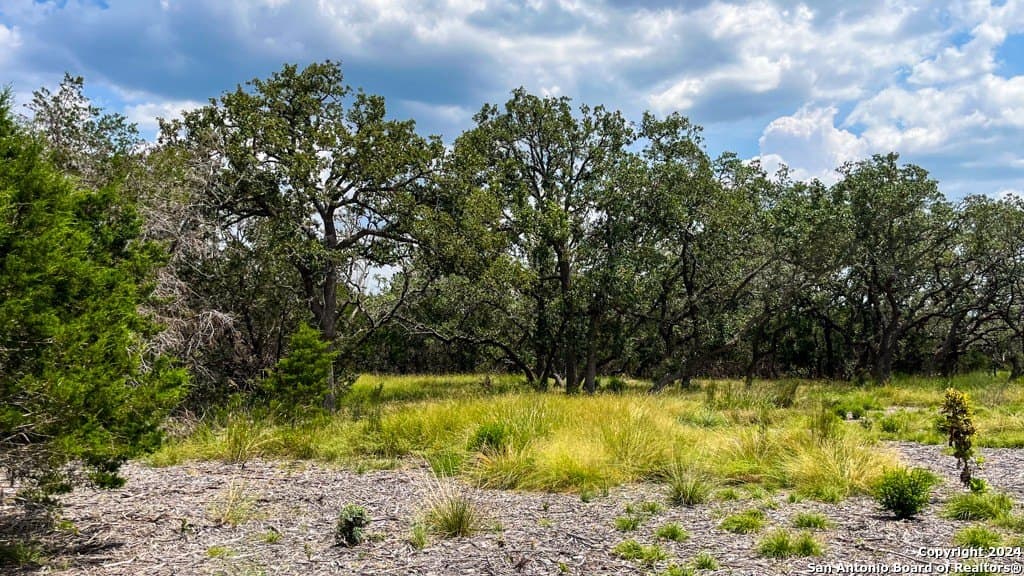 7.01 acres in Kerr County - photo 13