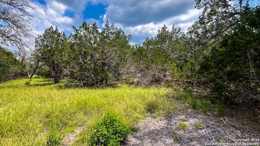 7.01 acres in Kerr County - photo 10