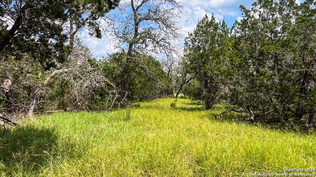 7.01 acres in Kerr County - photo 9