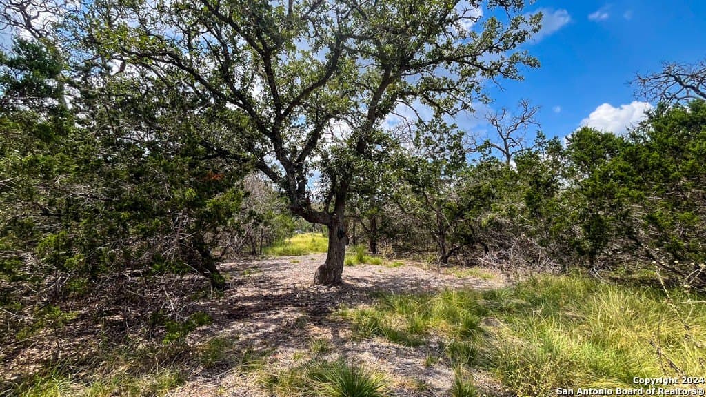 7.01 acres in Kerr County - photo 11