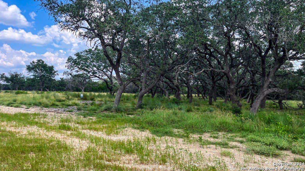 7.01 acres in Kerr County - photo 6