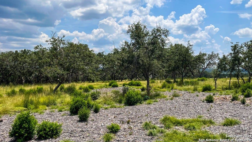7.01 acres in Kerr County - photo 15