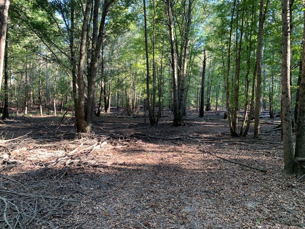 119.5 acres in Henderson County - photo 48