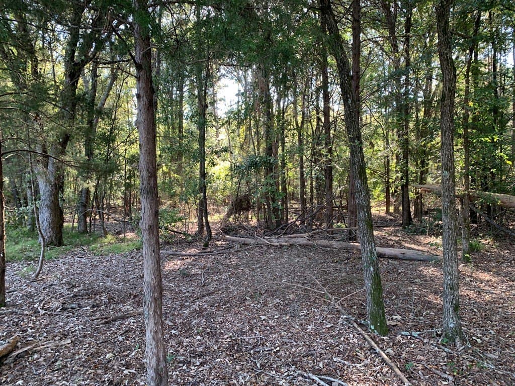 119.5 acres in Henderson County - photo 43
