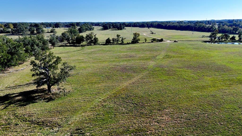 119.5 acres in Henderson County - photo 38
