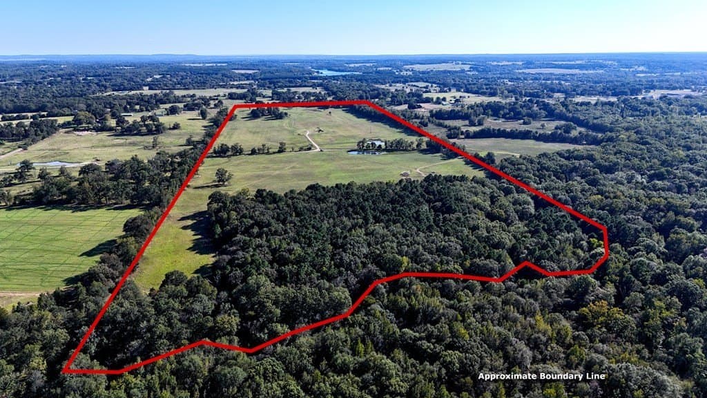 119.5 acres in Henderson County - photo 4
