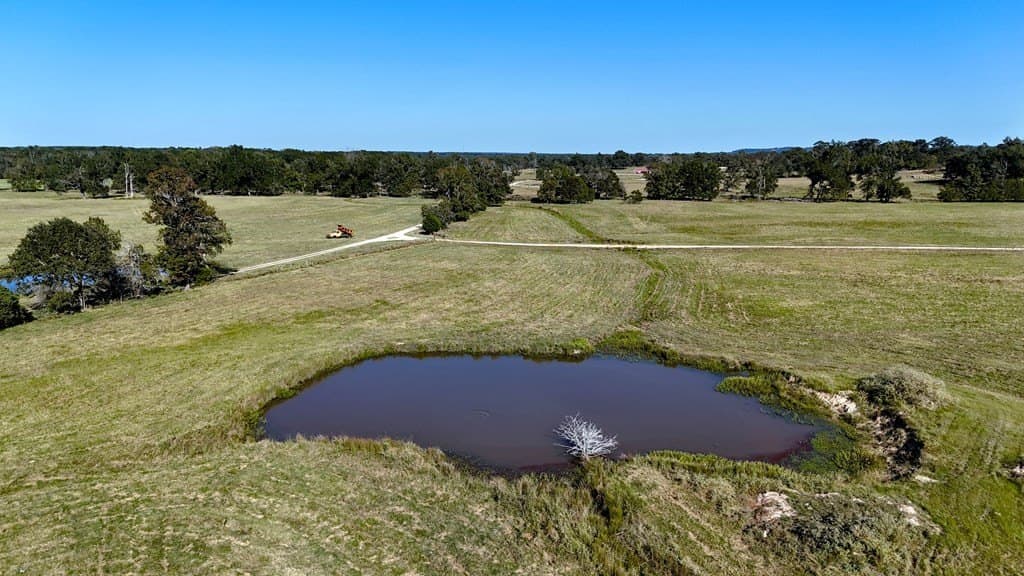 119.5 acres in Henderson County - photo 34