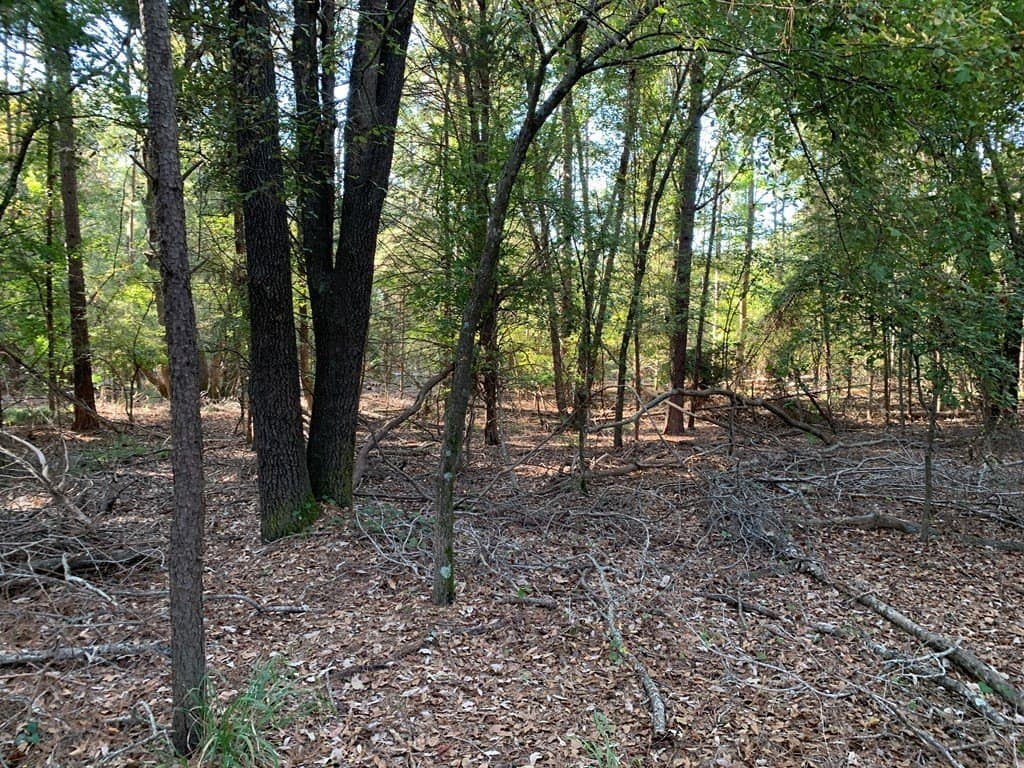119.5 acres in Henderson County - photo 44