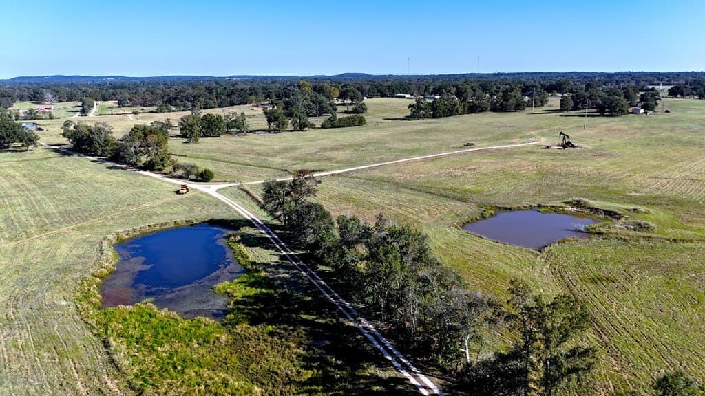119.5 acres in Henderson County - photo 35