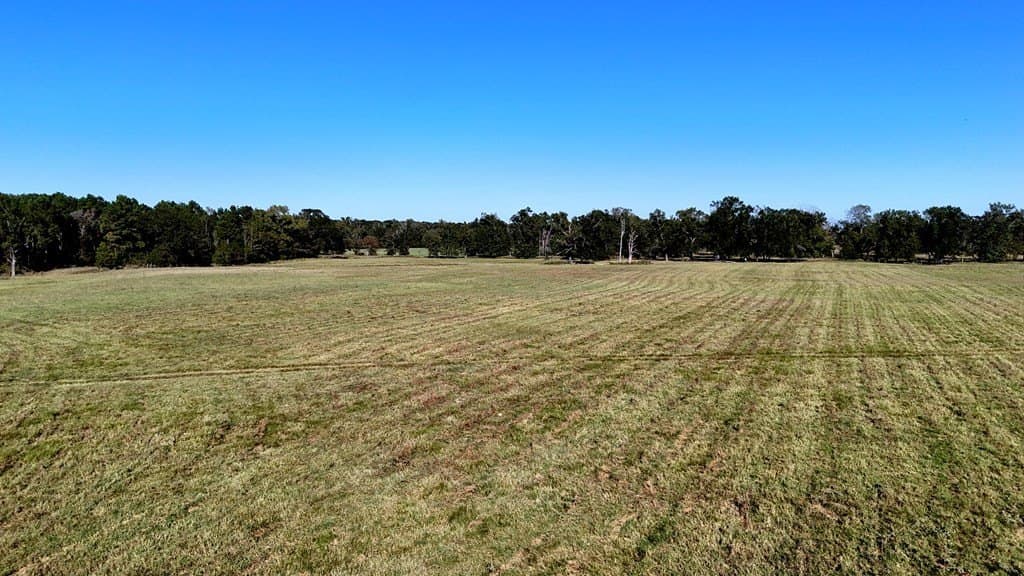 119.5 acres in Henderson County - photo 37