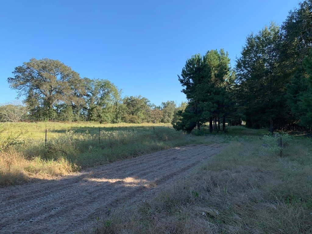 119.5 acres in Henderson County - photo 42