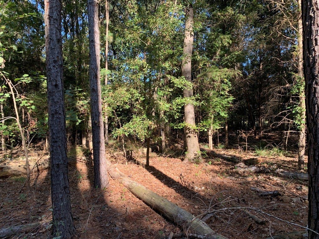119.5 acres in Henderson County - photo 45