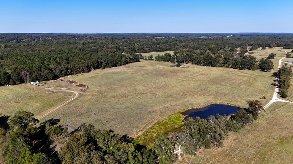 119.5 acres in Henderson County - photo 36