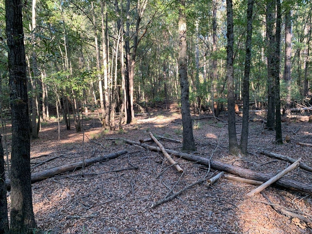 119.5 acres in Henderson County - photo 49