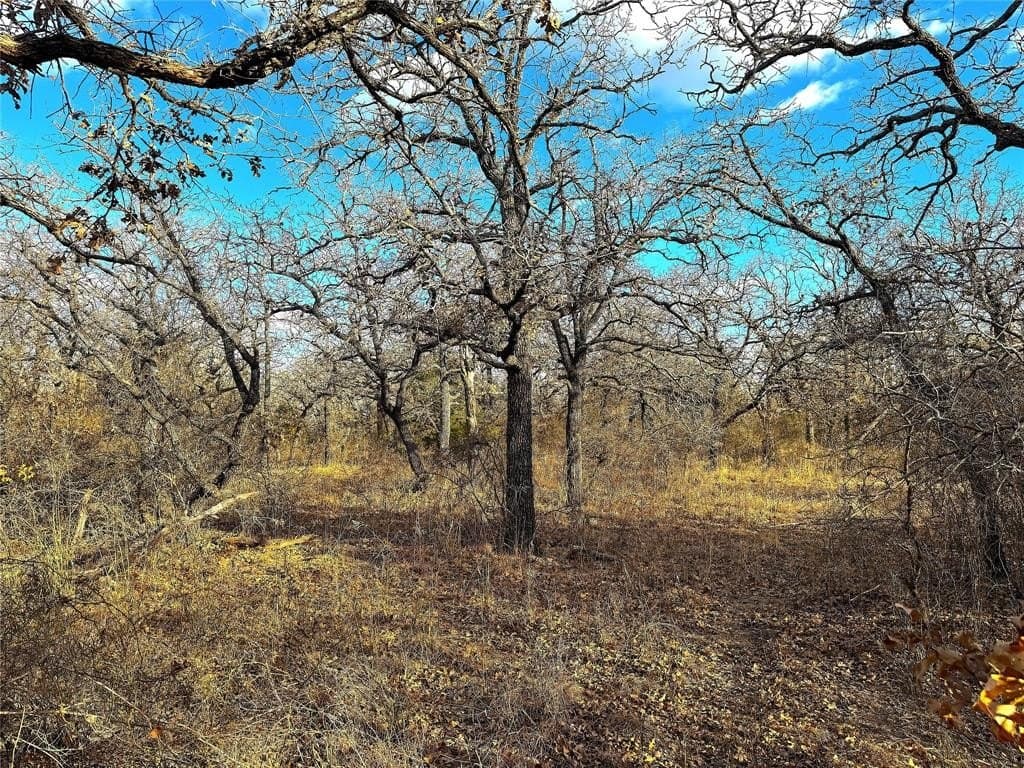 89.96 acres in Parker County - photo 26