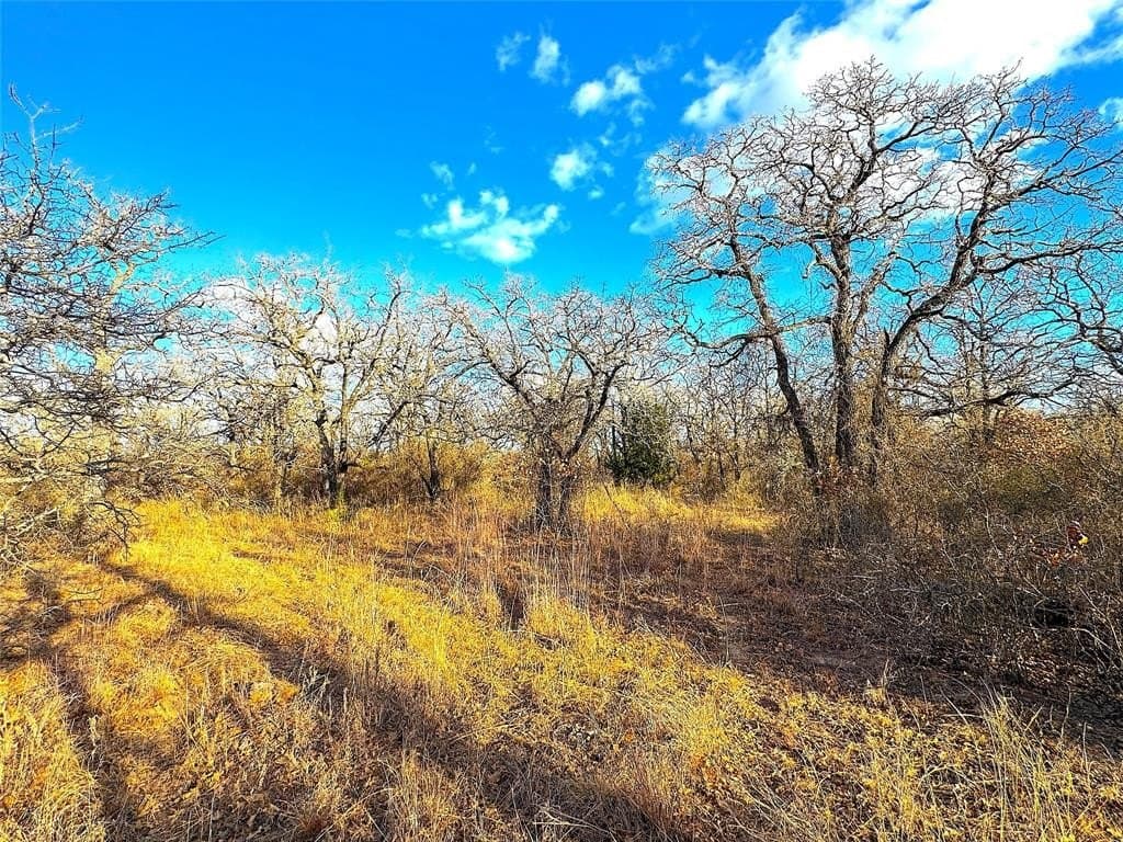 89.96 acres in Parker County - photo 37