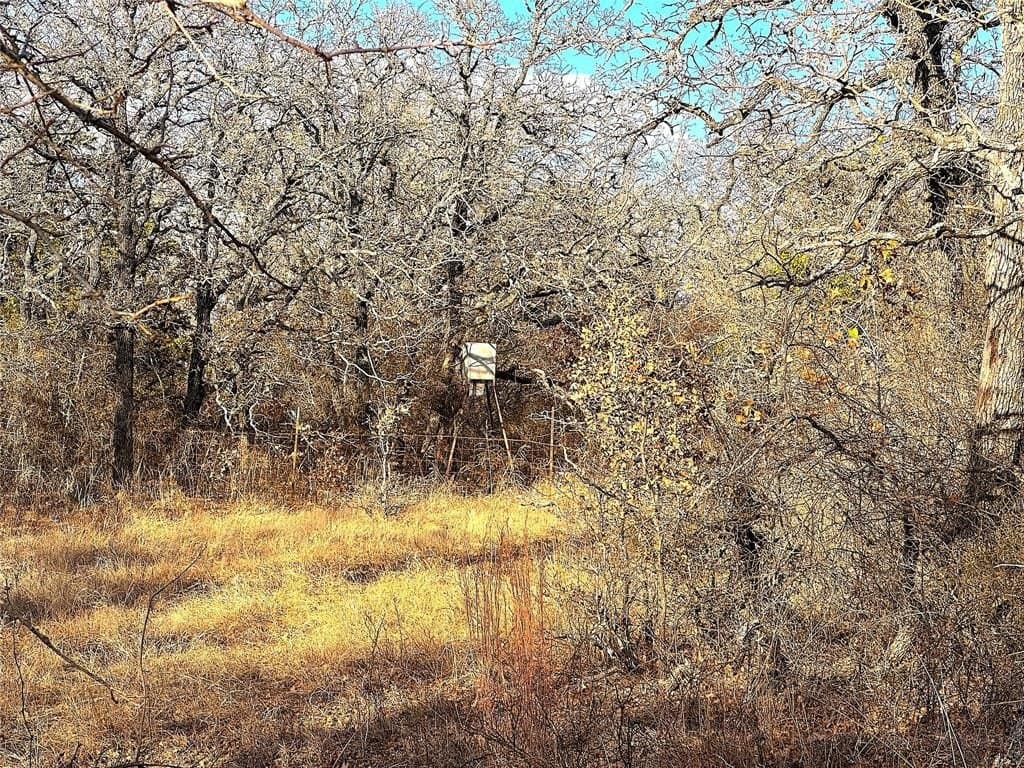 89.96 acres in Parker County - photo 33